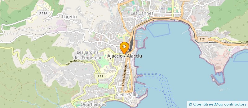 localisation de l'entreprise MONSIEUR MICHEL BLAISE à AJACCIO