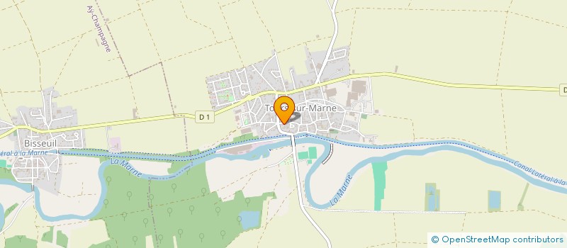 localisation de l'entreprise MONSIEUR MICHEL BLONDEL  TOURS-SUR-MARNE