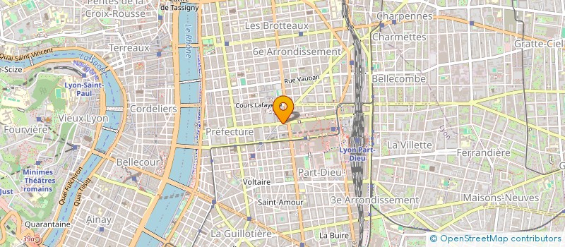 localisation de l'entreprise MONSIEUR MICHEL BONNEFOIS  LYON