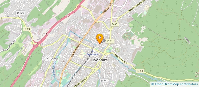localisation de l'entreprise MONSIEUR MICHEL BORGIS à OYONNAX