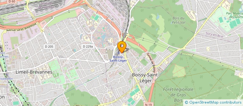 localisation de l'entreprise MONSIEUR MICHEL BOULLIER à BOISSY-SAINT-LEGER