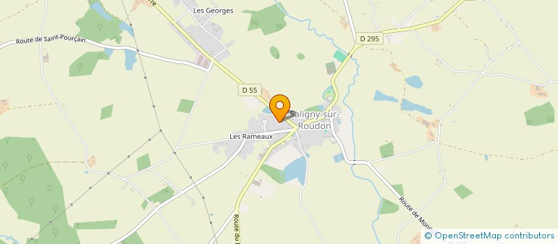 localisation de l'entreprise MONSIEUR MICHEL BOURRACHOT  SALIGNY-SUR-ROUDON