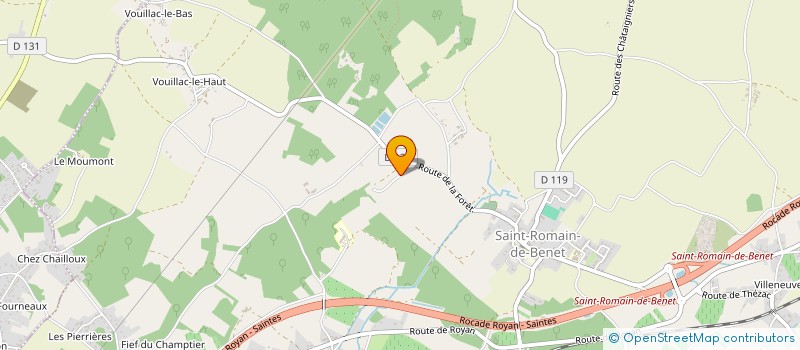 localisation de l'entreprise MONSIEUR MICHEL BRIZARD  SAINT-ROMAIN-DE-BENET