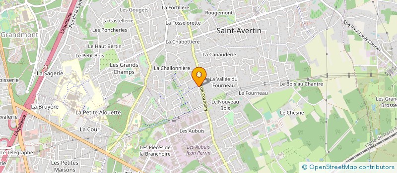 localisation de l'entreprise MONSIEUR MICHEL BRIZIOU  SAINT-AVERTIN