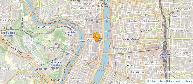 localisation de l'entreprise MONSIEUR MICHEL BRONDEL  LYON