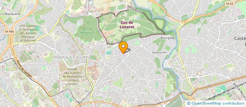 localisation de l'entreprise MONSIEUR MICHEL BRU à MONTPELLIER