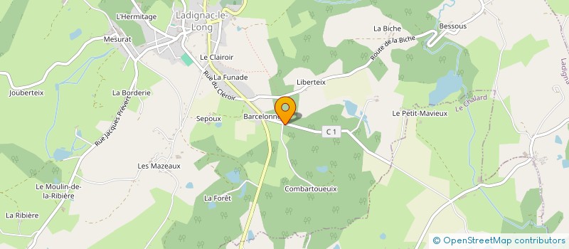 localisation de l'entreprise MONSIEUR MICHEL BRU  LADIGNAC-LE-LONG