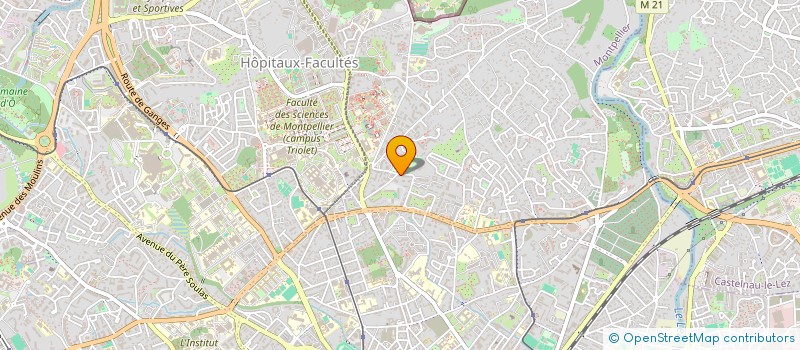 localisation de l'entreprise MONSIEUR MICHEL BUYEDA à MONTPELLIER