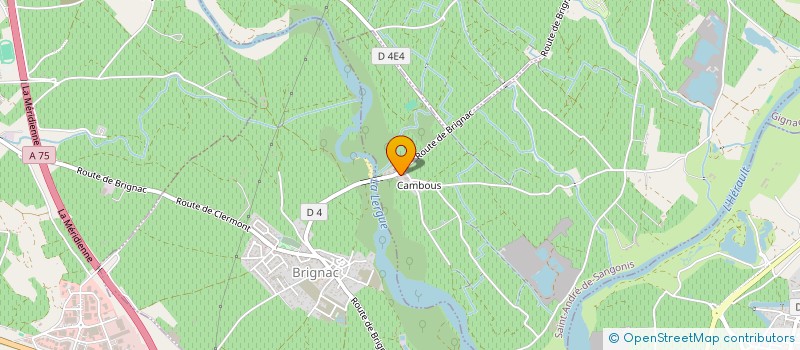 localisation de l'entreprise MONSIEUR MICHEL CARRICO  SAINT-ANDRE-DE-SANGONIS