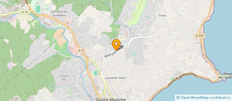 localisation de l'entreprise MONSIEUR MICHEL CARRIER à SAINTE-MAXIME