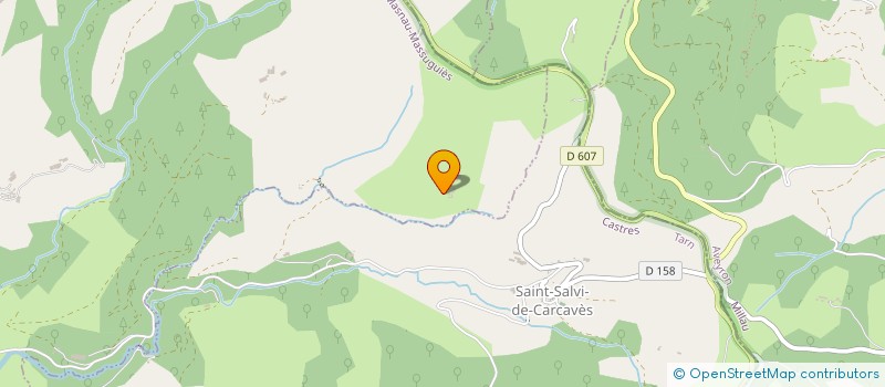 localisation de l'entreprise MONSIEUR MICHEL CARRIERE  LE MASNAU-MASSUGUIES