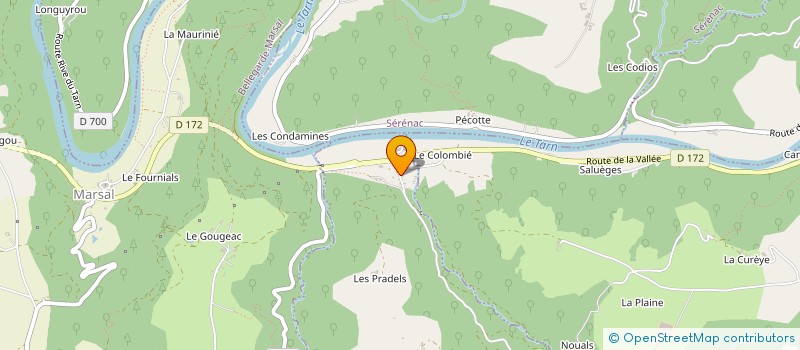 localisation de l'entreprise MONSIEUR MICHEL CARRIERE  VILLEFRANCHE-D ALBIGEOIS