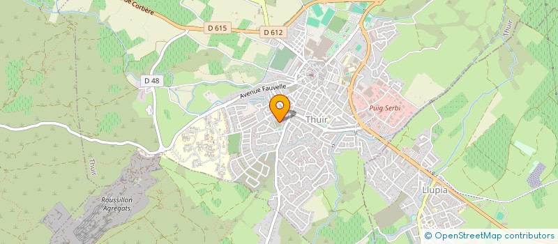 localisation de l'entreprise MONSIEUR MICHEL CASTRO  THUIR