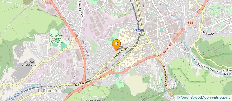 localisation de l'entreprise MONSIEUR MICHEL CHAILLOT  SAINT-ETIENNE