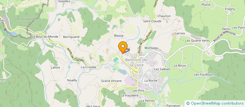 localisation de l'entreprise MONSIEUR MICHEL CHASSIGNOL à BELMONT-DE-LA-LOIRE