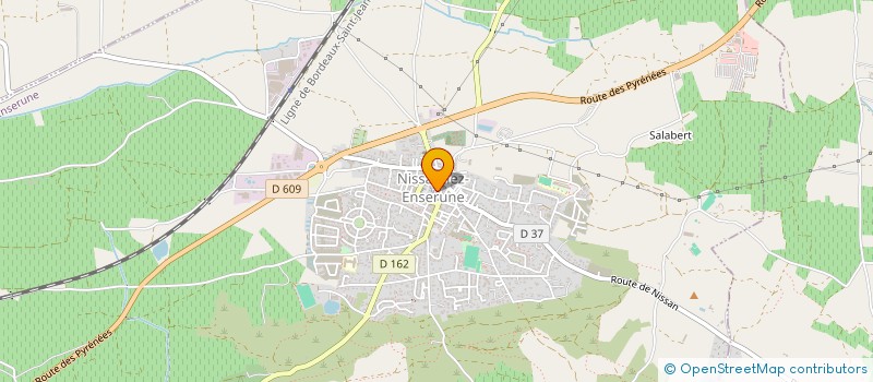 localisation de l'entreprise MONSIEUR MICHEL CHOIZIT  NISSAN-LEZ-ENSERUNE