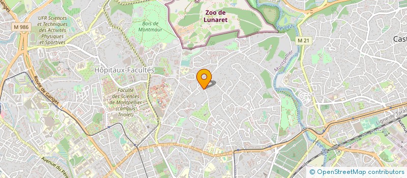 localisation de l'entreprise MONSIEUR MICHEL COQBLIN à MONTPELLIER