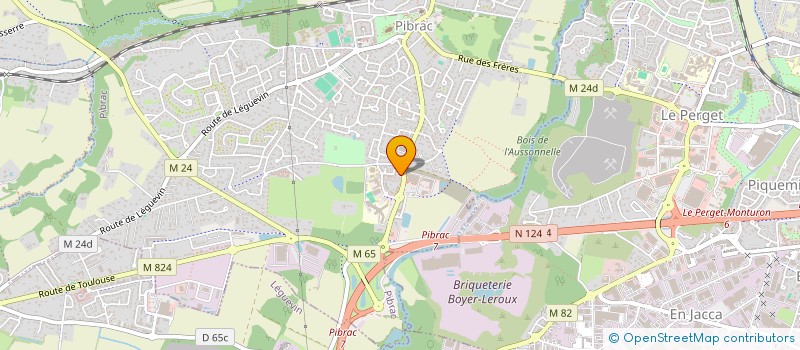 localisation de l'entreprise MONSIEUR MICHEL DALIA  PIBRAC