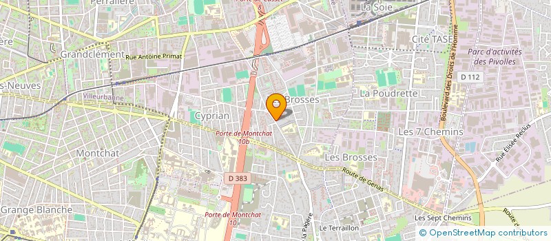 localisation de l'entreprise MONSIEUR MICHEL DEBORD  VILLEURBANNE