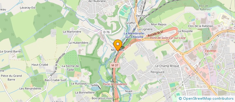 localisation de l'entreprise MONSIEUR MICHEL DELAMARE  SAINT-CYR-SUR-LOIRE