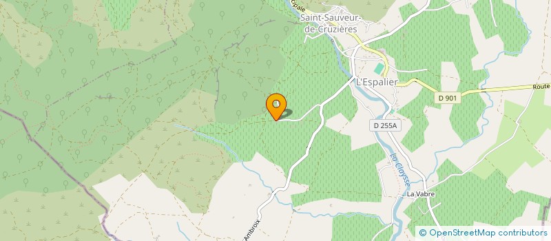 localisation de l'entreprise MONSIEUR MICHEL DELAUZUN  SAINT-SAUVEUR-DE-CRUZIERES