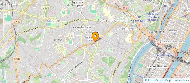 localisation de l'entreprise MONSIEUR MICHEL DESVIGNES  LYON