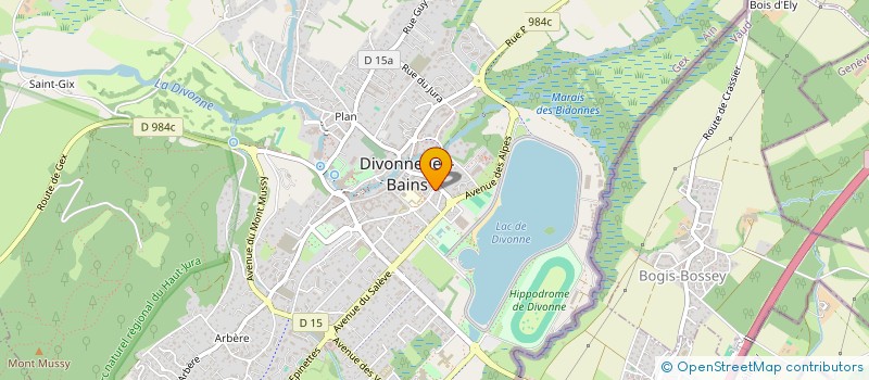 localisation de l'entreprise MONSIEUR MICHEL DETRONDE à DIVONNE-LES-BAINS
