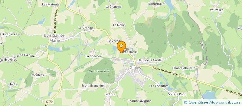 localisation de l'entreprise MONSIEUR MICHEL DUCARRE  SAINT-LAURENT-EN-BRIONNAIS