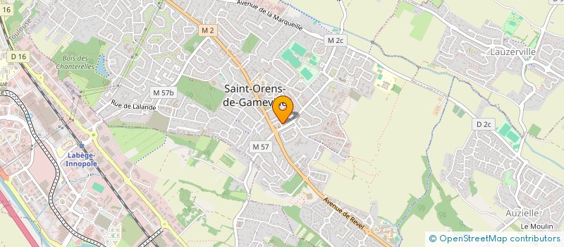 localisation de l'entreprise MONSIEUR MICHEL DUCHAYNE à SAINT-ORENS-DE-GAMEVILLE