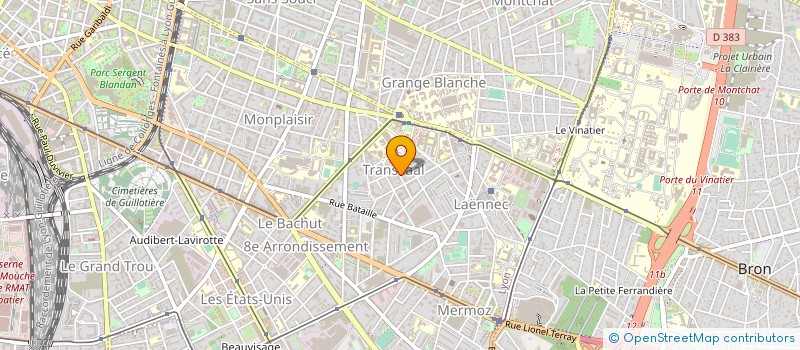 localisation de l'entreprise MONSIEUR MICHEL DUVERT  LYON