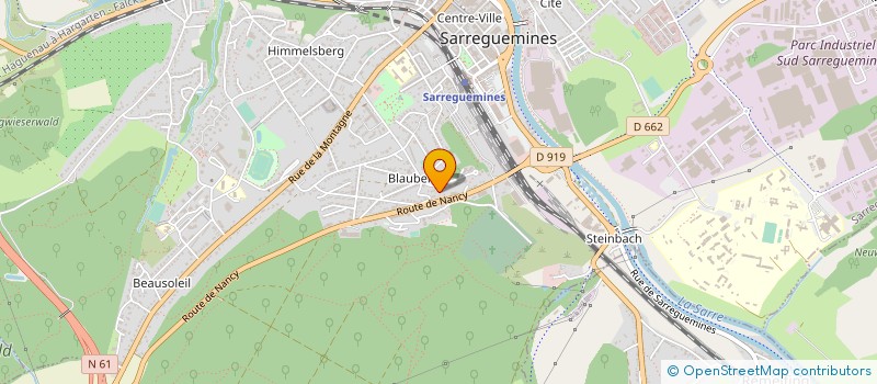 localisation de l'entreprise MONSIEUR MICHEL ERBS  SARREGUEMINES