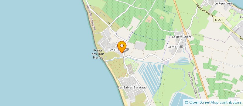 localisation de l'entreprise MONSIEUR MICHEL FAURE  SAINT-DENIS-D'OLERON