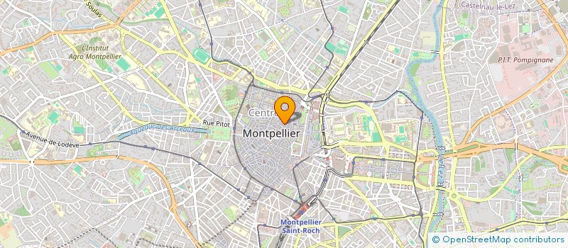 localisation de l'entreprise MONSIEUR MICHEL FAVRE-FELIX à MONTPELLIER
