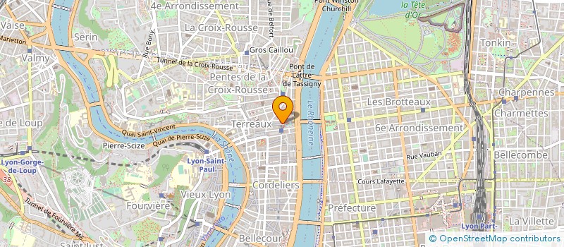 localisation de l'entreprise MONSIEUR MICHEL FERRAND à LYON