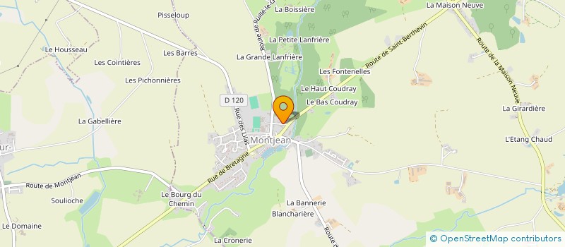 localisation de l'entreprise MONSIEUR MICHEL FEUILLEAU  MONTJEAN