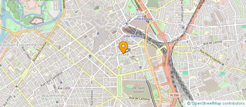 localisation de l'entreprise MONSIEUR MICHEL FICHEUX à LILLE