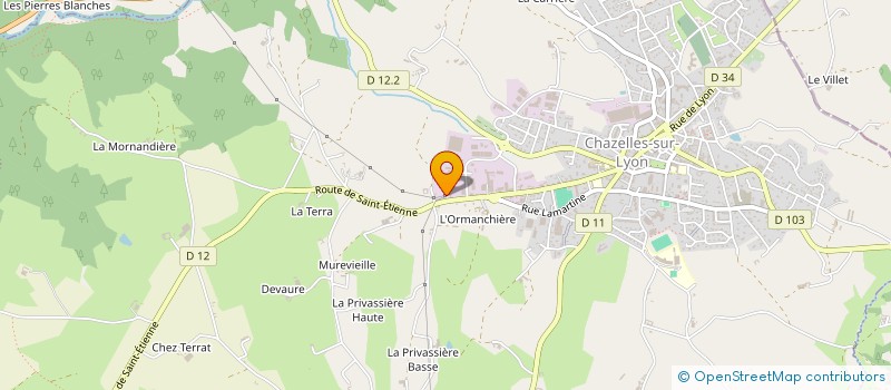 localisation de l'entreprise MONSIEUR MICHEL FORISSIER  CHAZELLES-SUR-LYON