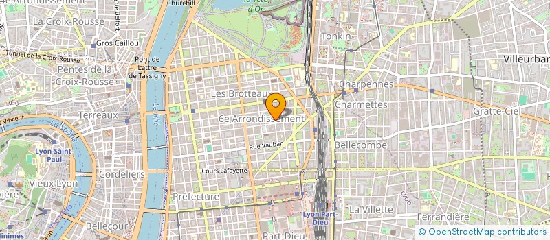 localisation de l'entreprise MONSIEUR MICHEL GAY à LYON