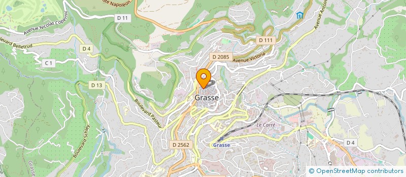 localisation de l'entreprise MONSIEUR MICHEL GEORGES MARCHAL  GRASSE