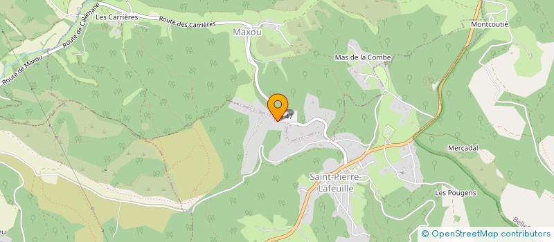 localisation de l'entreprise MONSIEUR MICHEL GEROUT  SAINT-PIERRE-LAFEUILLE