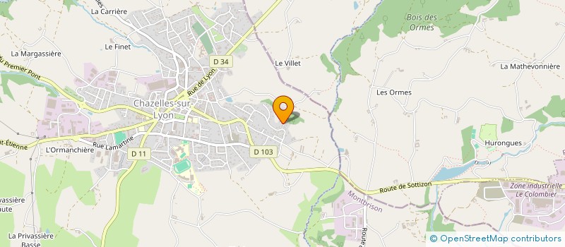 localisation de l'entreprise MONSIEUR MICHEL GIRIN  CHAZELLES-SUR-LYON