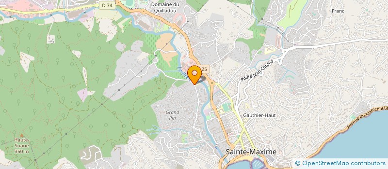 localisation de l'entreprise MONSIEUR MICHEL GOBINO à SAINTE-MAXIME