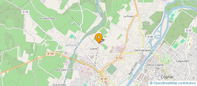 localisation de l'entreprise MONSIEUR MICHEL GOURINCHAS à COGNAC