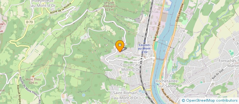 localisation de l'entreprise MONSIEUR MICHEL GUBELMANN  COUZON-AU-MONT-D'OR