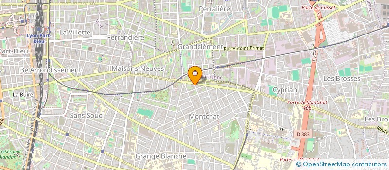 localisation de l'entreprise MONSIEUR MICHEL GUICHARD à LYON