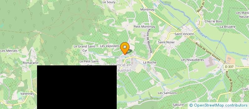 localisation de l'entreprise MONSIEUR MICHEL GUIOMAR  QUINCIE-EN-BEAUJOLAIS