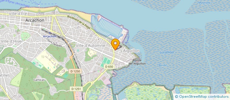 localisation de l'entreprise MONSIEUR MICHEL HENAULT à ARCACHON