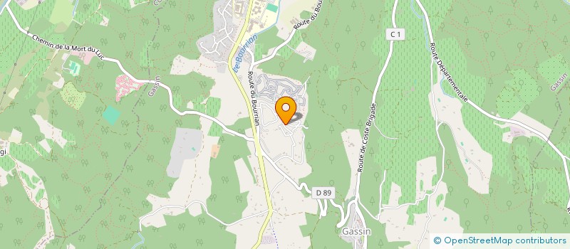 localisation de l'entreprise MONSIEUR MICHEL HENRI  GASSIN