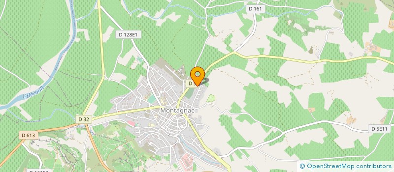 localisation de l'entreprise MONSIEUR MICHEL HERNANDEZ à MONTAGNAC