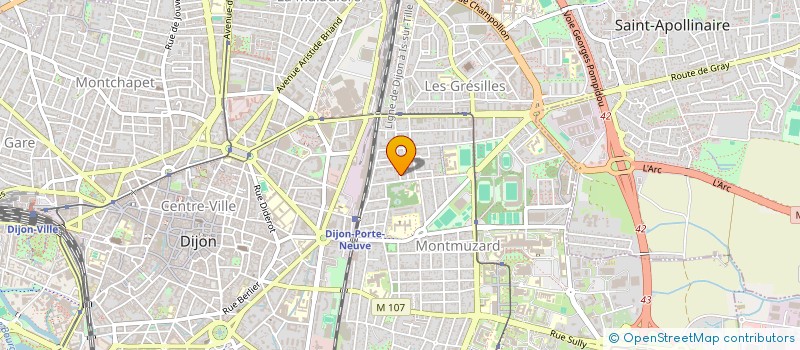 localisation de l'entreprise MONSIEUR MICHEL JAFFIOL à DIJON